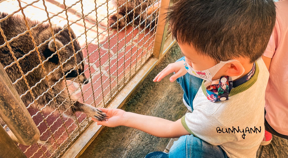 宜蘭【水鹿咖啡親子館】是咖啡店也是小型動物農場