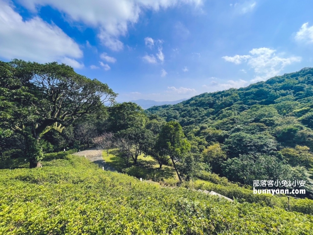 金山【法鼓山世界佛教教育園區】園區參觀指南介紹一日遊這樣玩