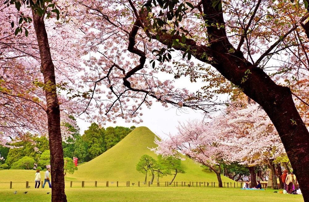 熊本景點｜水前寺成趣園
