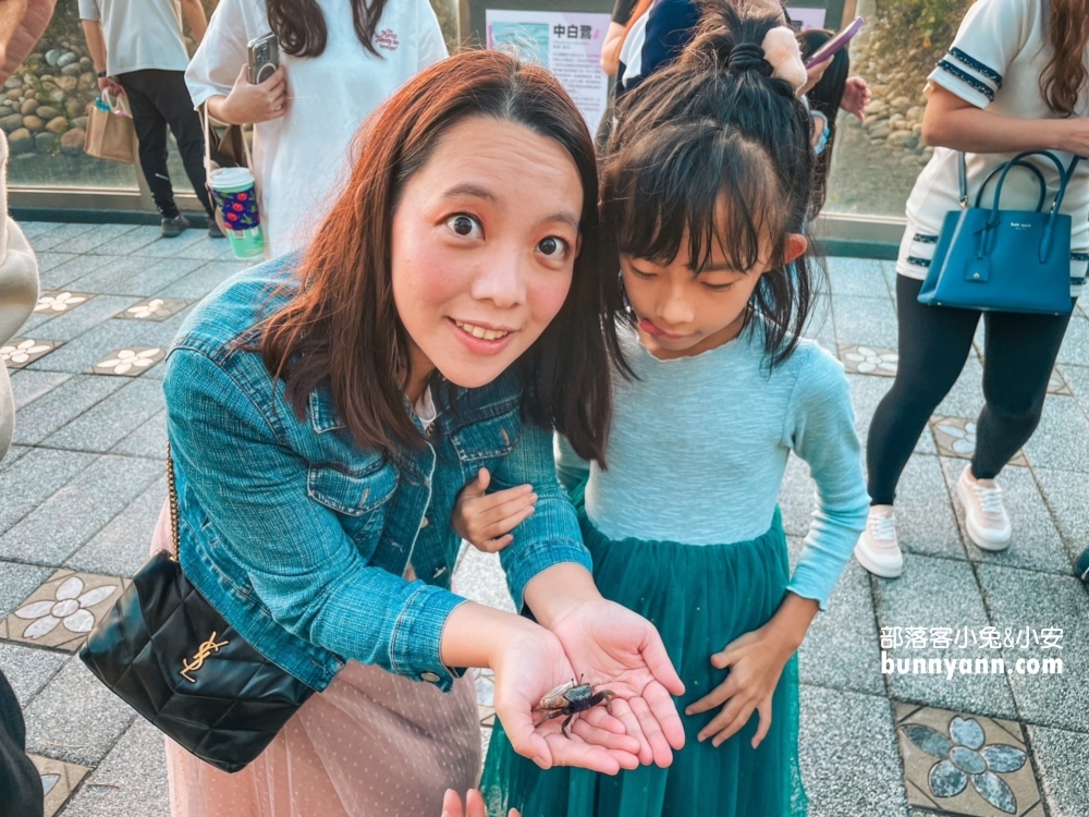 高美濕地親子生態導覽，一起漫步夕陽下探索濕地生態