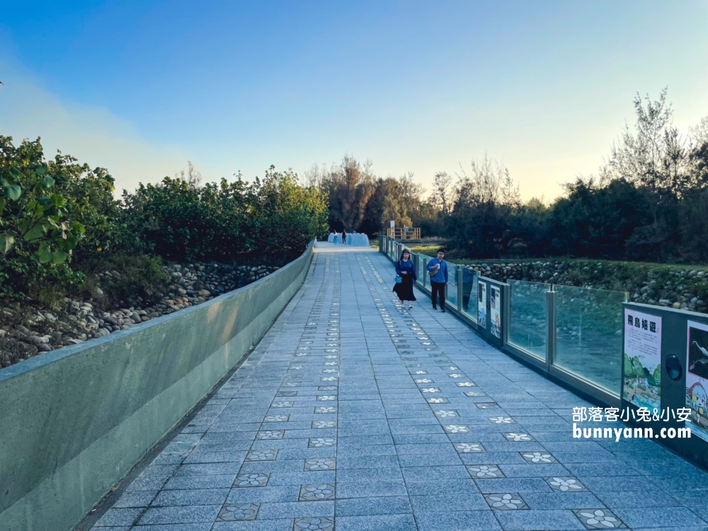 高美濕地親子生態導覽，一起漫步夕陽下探索濕地生態