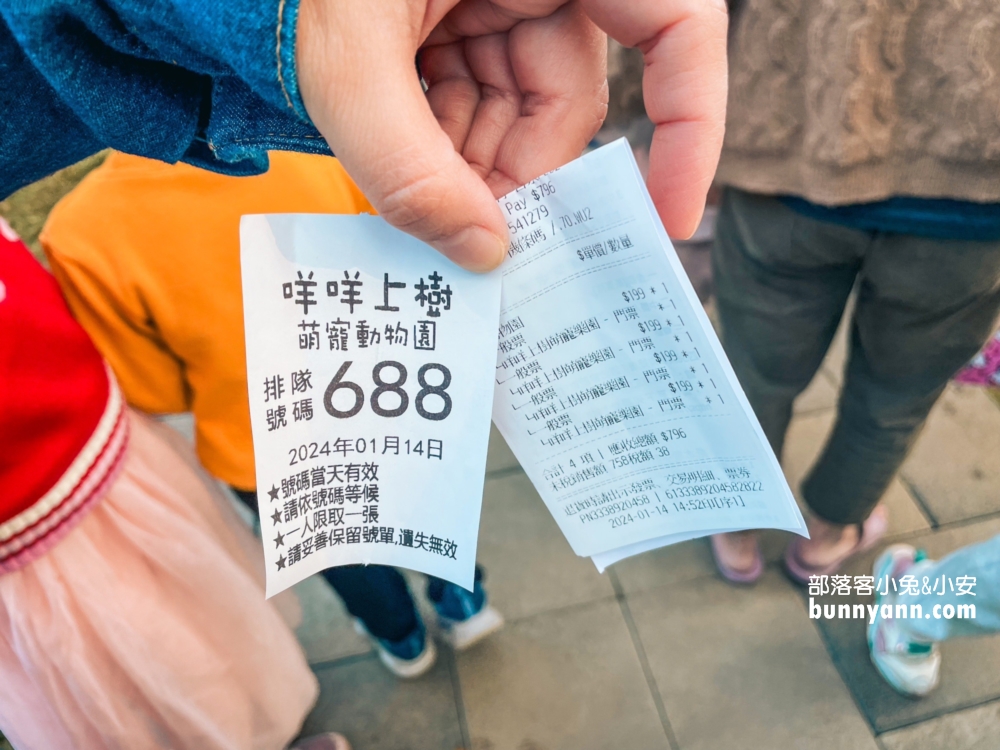 嘉義農場【咩咩上樹萌寵樂園】兩分鐘看完環境與門票資訊總整理