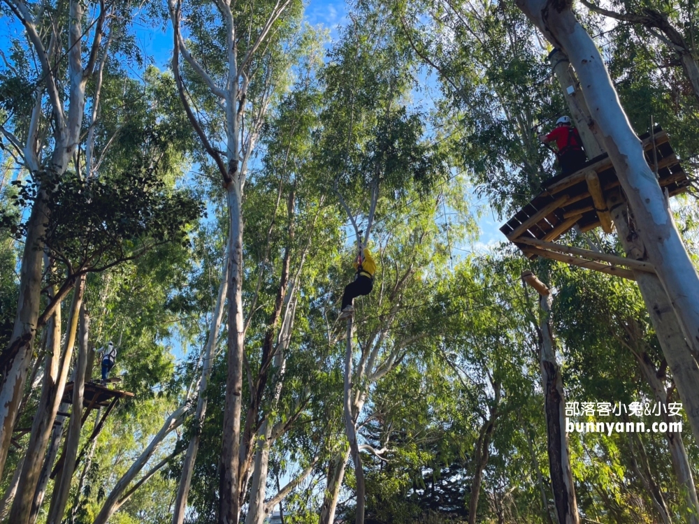 嘉義農場【咩咩上樹萌寵樂園】兩分鐘看完環境與門票資訊總整理