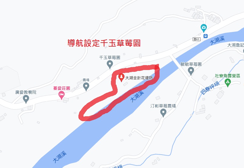 大湖社寮角堤防金針花滿開，2023大湖社寮角金針花廊道詳細攻略!!