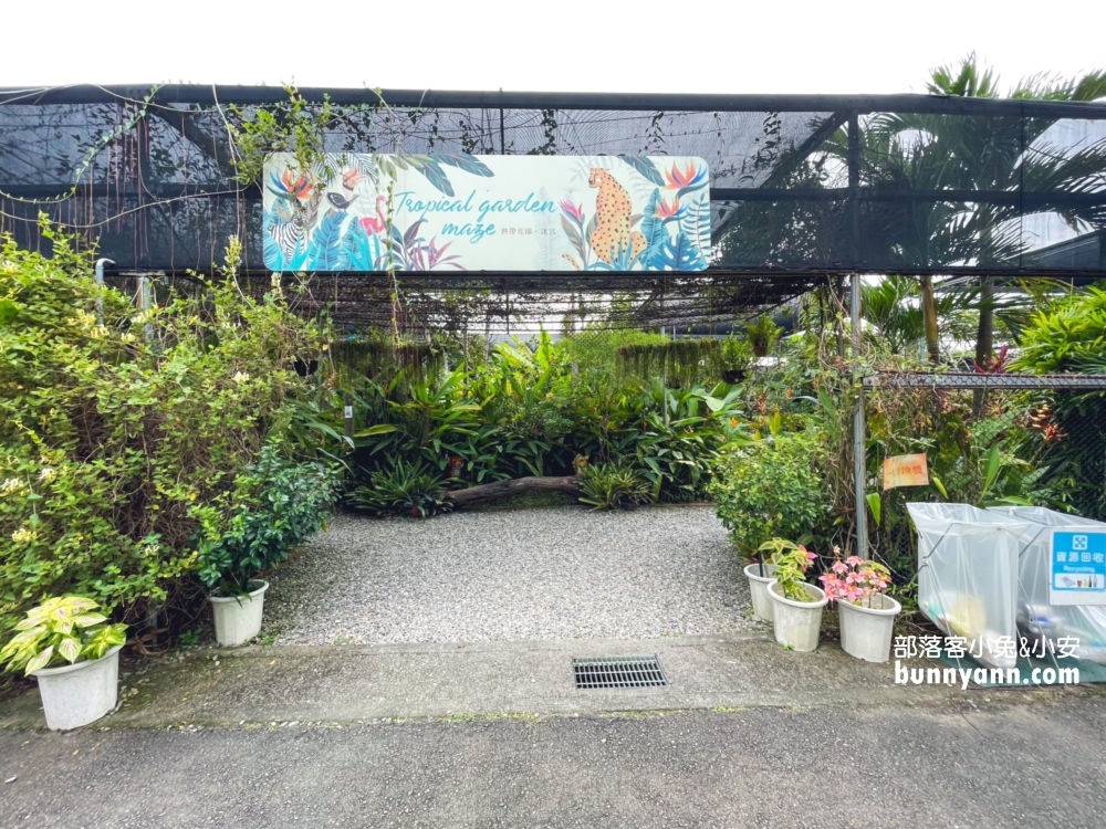 古坑順遊景點「蘿莎玫瑰山莊」漫遊浪漫玫瑰花園，環境、停車、必買推薦攻略。
