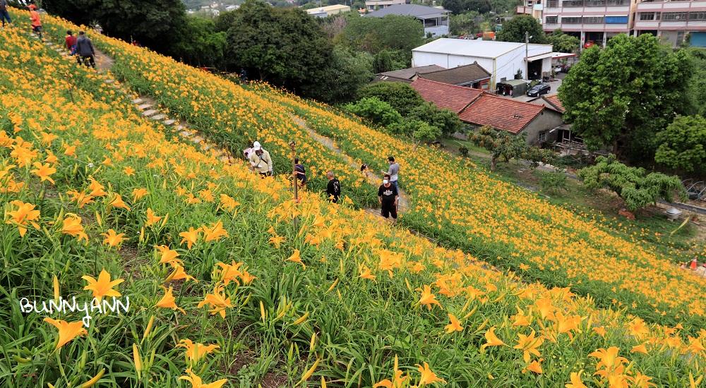 2025【彰化步道推薦】精選12個登山步道與森林景點懶人包