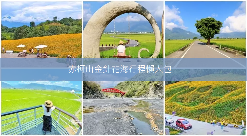 赤科山金針花