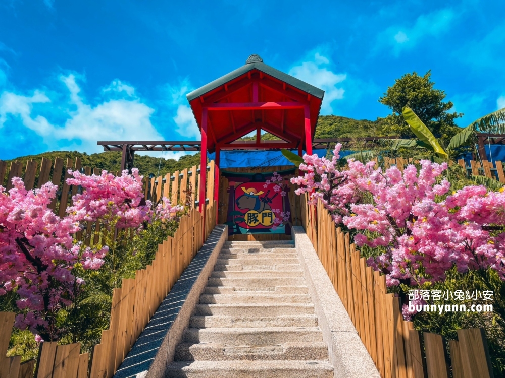花蓮【月崖灣親子農場】一邊看海一邊餵水豚吃飯真好玩
