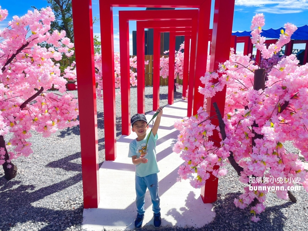 花蓮【月崖灣親子農場】一邊看海一邊餵水豚吃飯真好玩