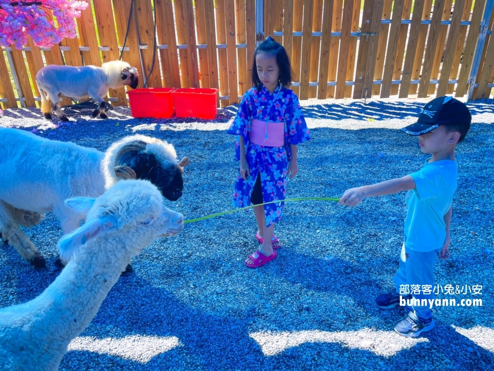 花蓮【月崖灣親子農場】一邊看海一邊餵水豚吃飯真好玩