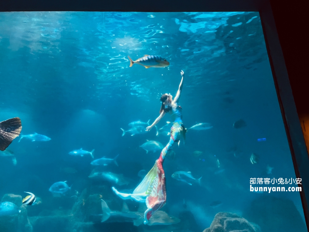 花蓮最佳親子景點，遠雄海洋公園遊樂設施必玩攻略