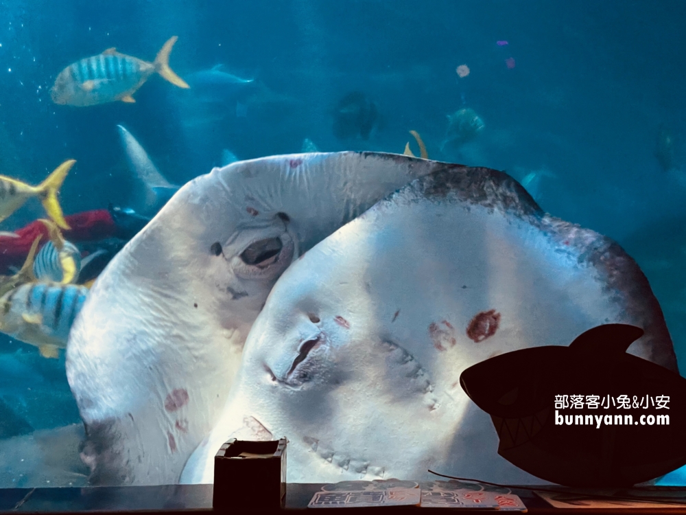 花蓮最佳親子景點，遠雄海洋公園遊樂設施必玩攻略