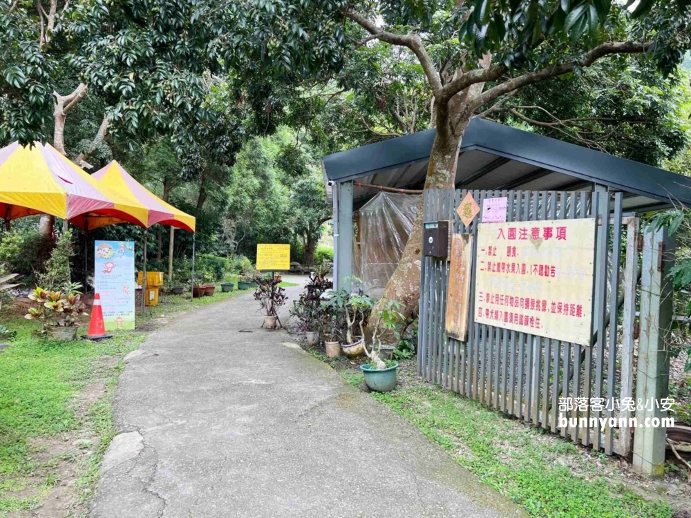 台中郭叔叔獼猴園｜可愛小猴子照鏡子，獼猴餵食秀超厲害
