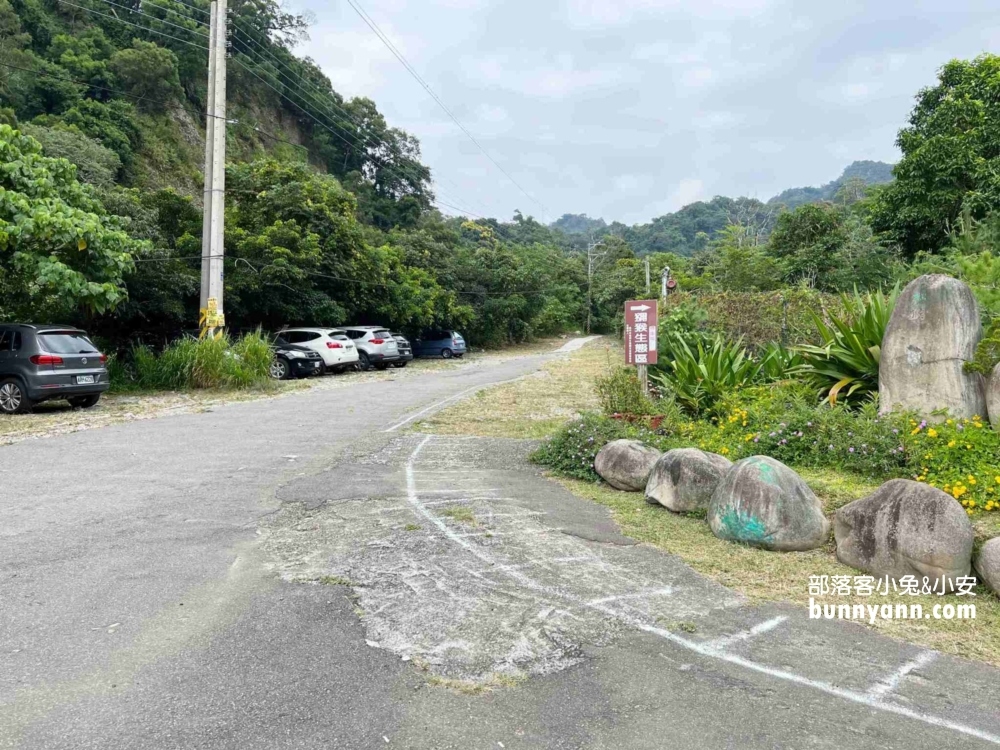 台中郭叔叔獼猴園｜可愛小猴子照鏡子，獼猴餵食秀超厲害