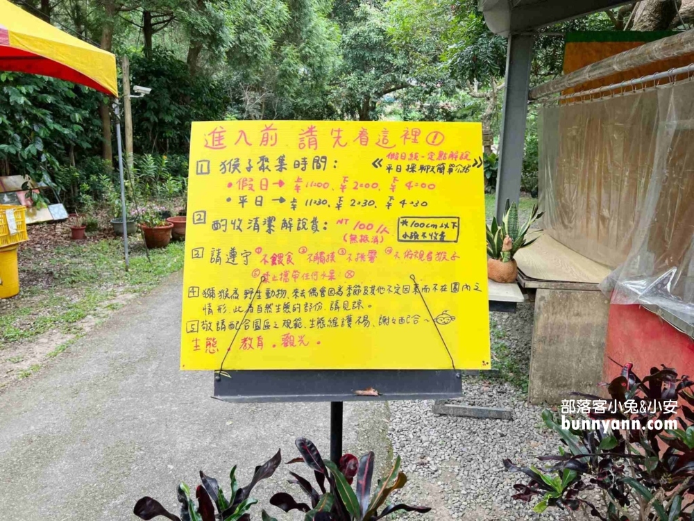 台中郭叔叔獼猴園｜可愛小猴子照鏡子，獼猴餵食秀超厲害