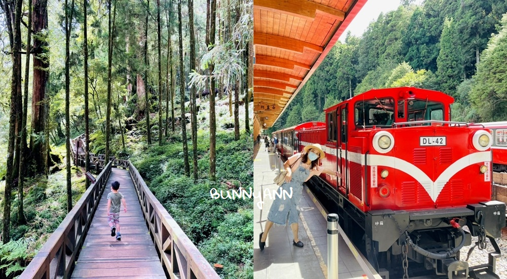 嘉義新港景點和水上景點一日遊，路線、地圖、必玩景點全攻略