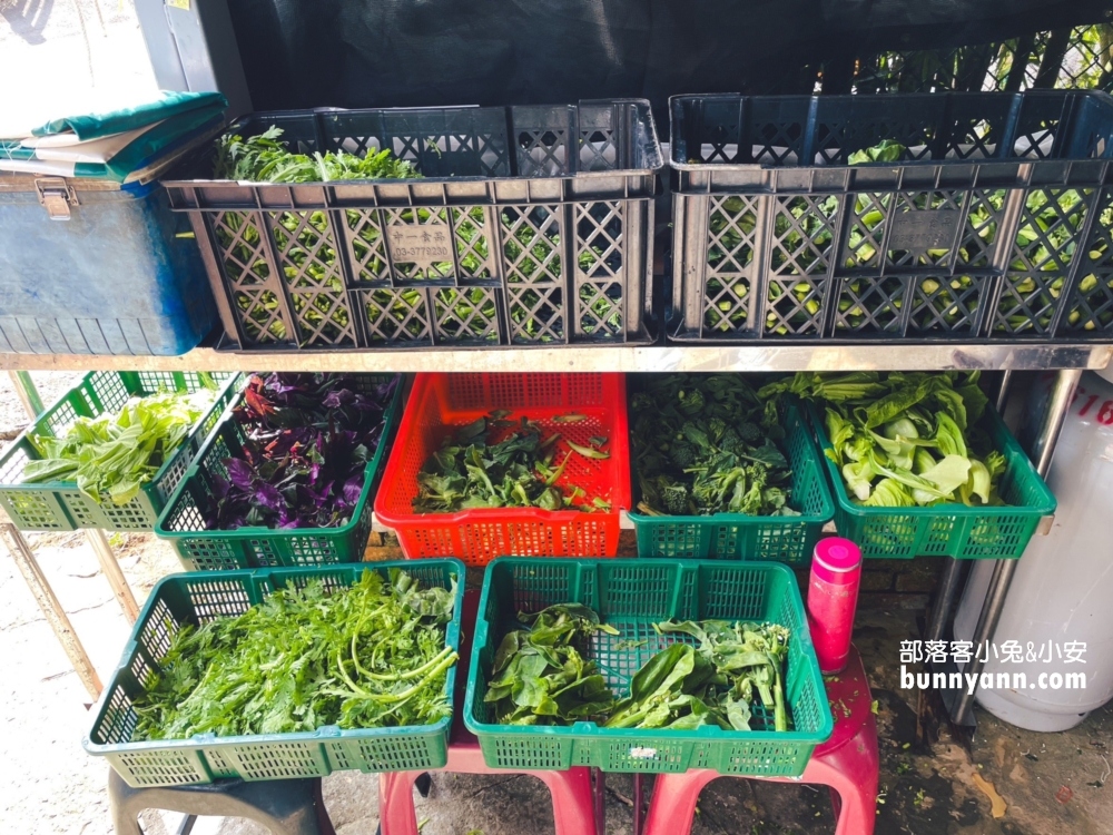 陽明山【草山風情藥膳餐廳】這家麻油雞真不錯喝，湯內有整隻雞腿